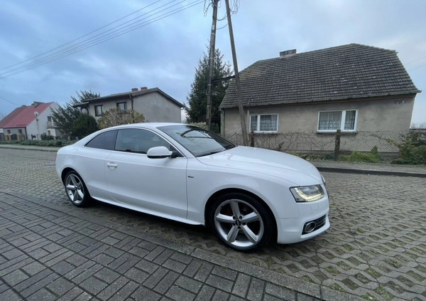 Audi A5 cena 49900 przebieg: 162000, rok produkcji 2010 z Gniezno małe 352